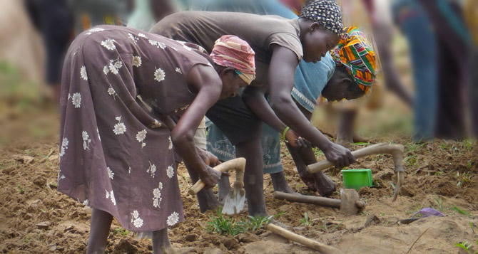 Agric must change the game